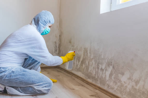 Hvac And Air Duct Mold Remediation inspection of HVAC system in Brookside